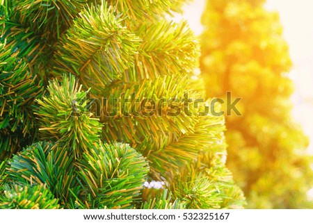 Christmas tree for decorated with sun light