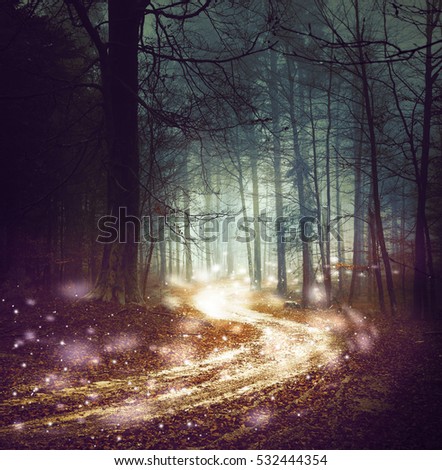 Fantasy forest with firefly lights. Magic colored woodland fairy tale. Dreamy foggy forest tree with winding road background. 