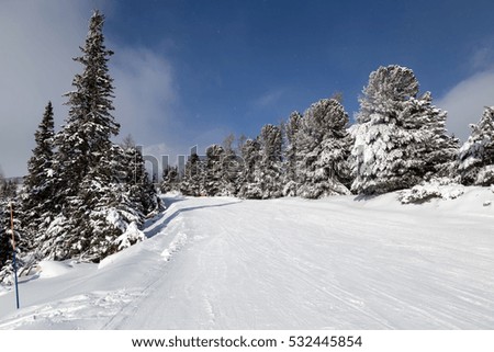 Covered in snow ski slope between the snowy fir trees in the background of the cloudy blue sky. Famous ski resort of Strbske Pleso. High Tatras. Slovakia.