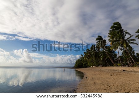 Tropical island paradise - palm trees and sandy beach on the ocean. White clouds are reflected on the surface of  water. Human  walks on water. Fijii, isle Beqa