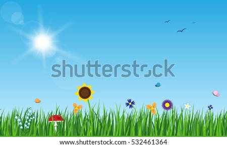 Sun with rays and flares on blue sky. Green grass lawn with flowers butterflies, mushroom and birds.