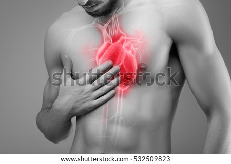 Human heart, man holds his hand on his heart. Royalty-Free Stock Photo #532509823