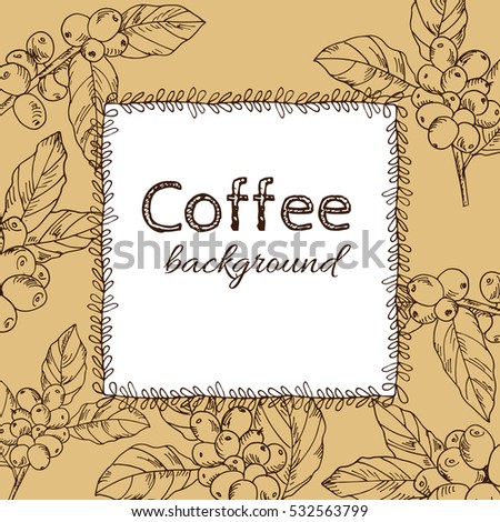 background vector branch with leaves and berries coffee, hand-drawn