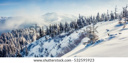 Sunny morning panorama of mountain forest. Bright winter landscape in the snowy wood, Happy New Year celebration concept. Artistic style post processed photo.