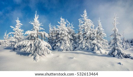 Sunny morning panorama of the mountain forest. Bright winter landscape in the snowy wood, Happy New Year celebration concept. Artistic style post processed photo.