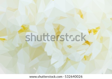 Low poly illustration Bouquet of fresh white peony flowers macro background