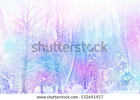 forest in the frost. Winter landscape. Snow covered trees. 