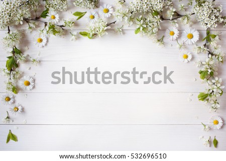 White background with flowering branches of plums, cherries and daisies, space for text greeting, invitation