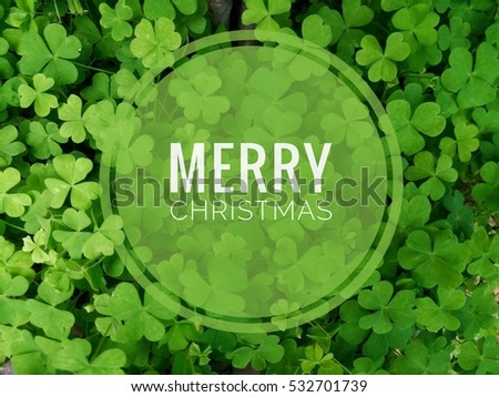 Merry Christmas in Clover Background