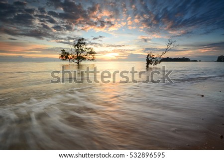 Beautiful seascape view at sunset with silhouette of tree. Motion blur on foreground or wave due to slow shutter speed shot. Composition of nature.