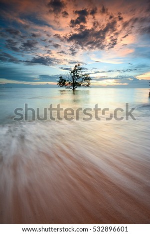 Beautiful seascape view at sunset with silhouette of tree. Motion blur on foreground or wave due to slow shutter speed shot. Composition of nature.
