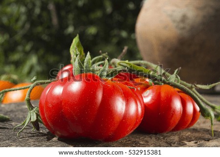 Tomatoes and old clay jug on a background of the rural landscape