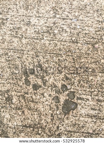 Dog footprints on the concrete floor