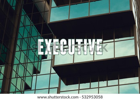 Executive, Business Concept