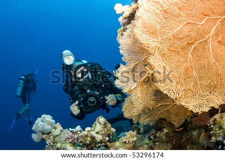 underwater photographer with vibrant colored coral