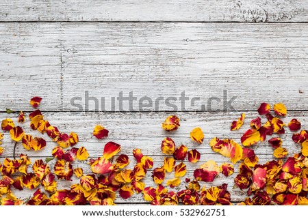 Dry petals of rose on a white wooden background. top view. copy space