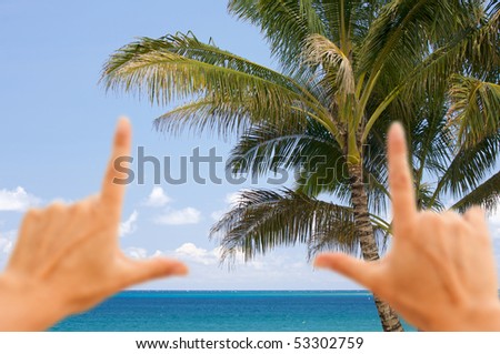 Hands Framing Palm Trees and Inviting Tropical Waters.