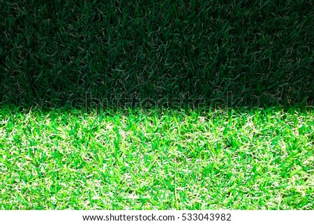 Grass light and shadow