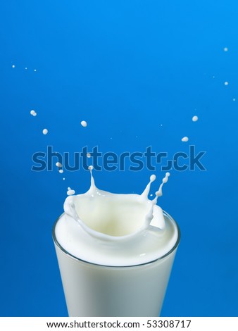 pouring milk in a glass isolated against white background