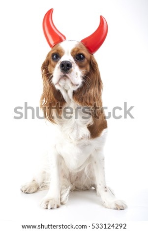 Devil dog illustration. King charles spaniel with devil hat. 
Evil dog. Carnival evil costume. New Year's Eve. Devil sign symbol party masquerade. Sylvester cute spaniel dog wear devil horn