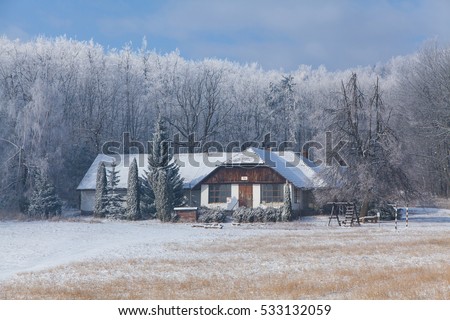 Winter forest hut