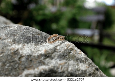 Wedding rings lie on a big stone on a lawn. The stone is in a grass on a lawn.