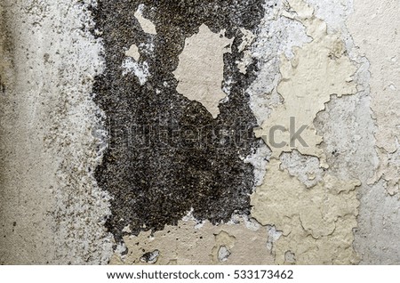 Fragment of  old grungy texture with chipped paint and cracks or grey concrete wall and cement surface