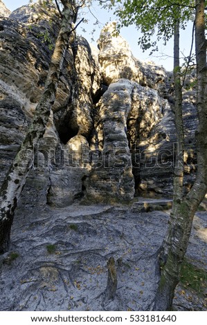 Tall sunlit rock formations with a few natural gaps in between surrounded by trees