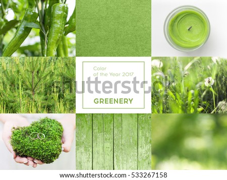 collage with greenery color of the year 2017 Pantone
