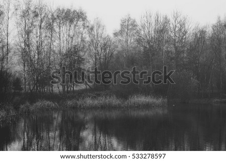 Lake - edited in monochrome