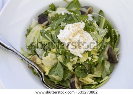 Mediterranean salad with mix of lettuce leaves and feta cheese on a white dish, close-up. Soft Focus. 