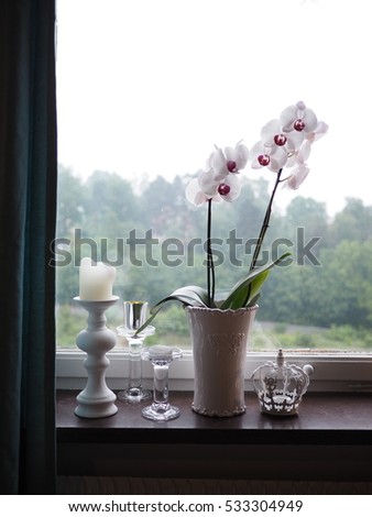 orchid in white pot by the window with white and glass candle holders around