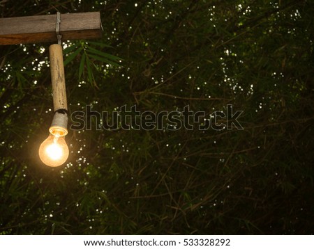 Wooden lamp hanging on the wood, bamboo tunnel background