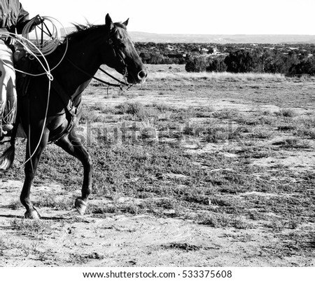 Black and white view of a cowboy and his horse preparing to rope cattle on the plains.