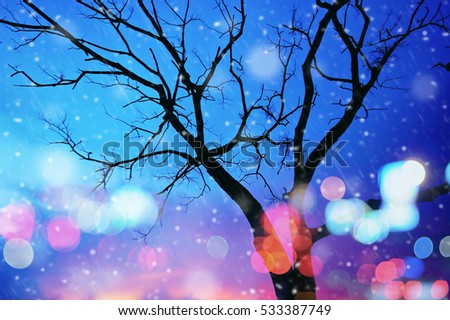blurry abstract bokeh lights, dry tree winter season's with snow                            