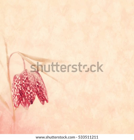 Spring blossoming fritillaria, selective focus, shallow DOF, toned, light and heart bokeh background, pastel and soft card