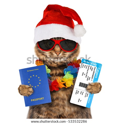 Funny cat is wearing a Christmas hat and holding passport of european union and airline ticket.
