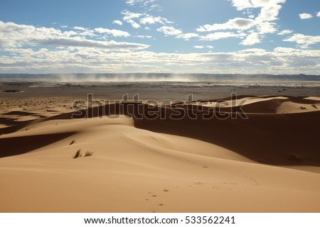 Dune Landscape of Sahara Desert with Dust Storm in the Distance
 Royalty-Free Stock Photo #533562241