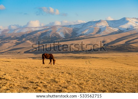 mountain landscape in Kazakhstan, near Almaty city