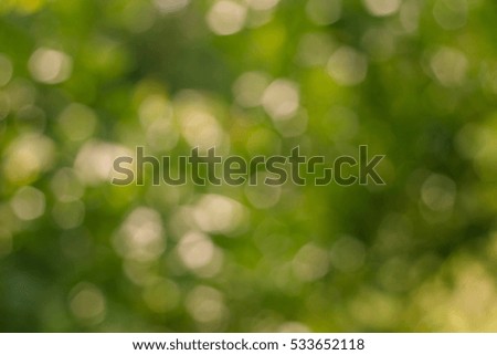 Abstract natural color background. natural green bokeh.