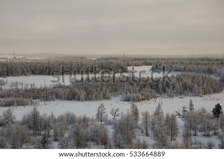 Winter landskape with forest in snow in the evening sunset. North