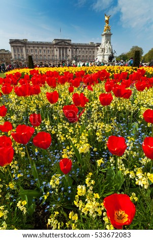 Panorama of Buckingham Palace in London, surrounded by red tulips