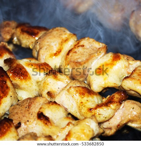 shish kebab on skewers. meat roasted on coals