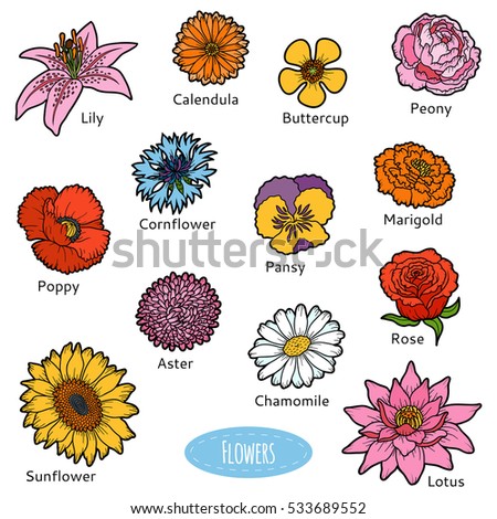 Vector set of flowers, color stickers