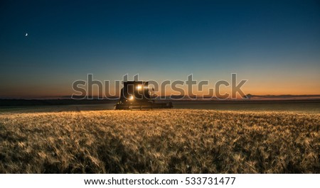 Combine harvester working on a wheat crop at night Royalty-Free Stock Photo #533731477