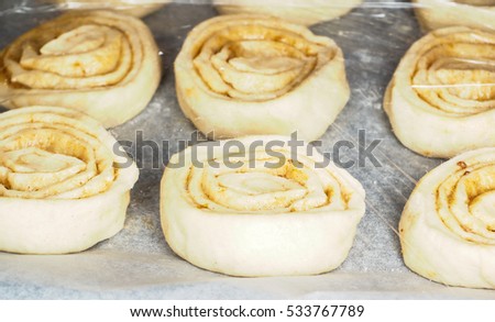 Closeup of raw cinnamon buns on baking paper under plastic, for proving