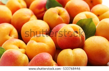 Ripe apricots fruit background Royalty-Free Stock Photo #533768446