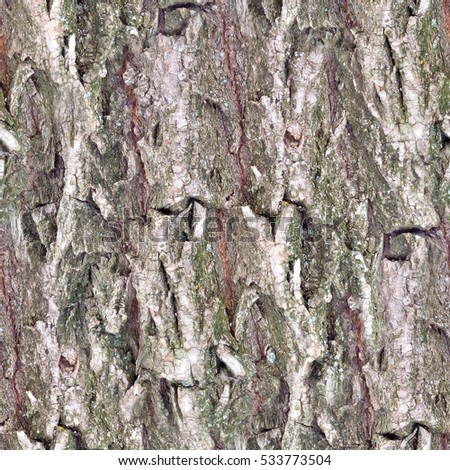 Seamless square texture of willow bark in HDR mode for game deisgn