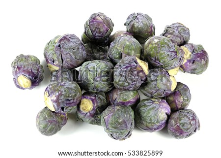 purple Brussels sprout isolated on white background