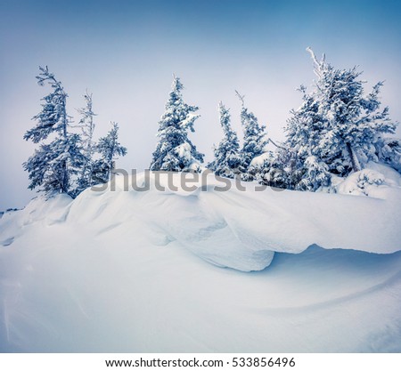 Bright morning scene in the mountain forest after heavy snowfall. Misty winter landscape in the snowy wood, Happy New Year celebration concept. Artistic style post processed photo.